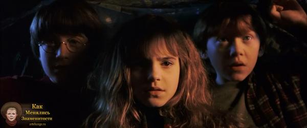 Гарри Поттер и Философский камень (2001), в ролях Дэниэл Рэдклифф