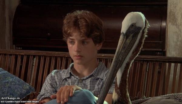 Флиппер (1996) Флиппер (1996), в ролях Элайджа Вуд в юности
